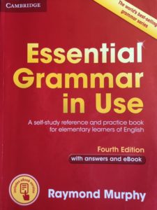 essential grammar in use book